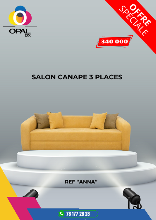 SALON CANAPÉ 3 PLACES