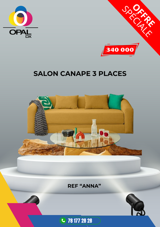 SALON CANAPÉ 3 PLACES